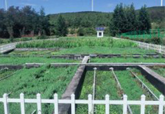 �������������������˹�ʪ��