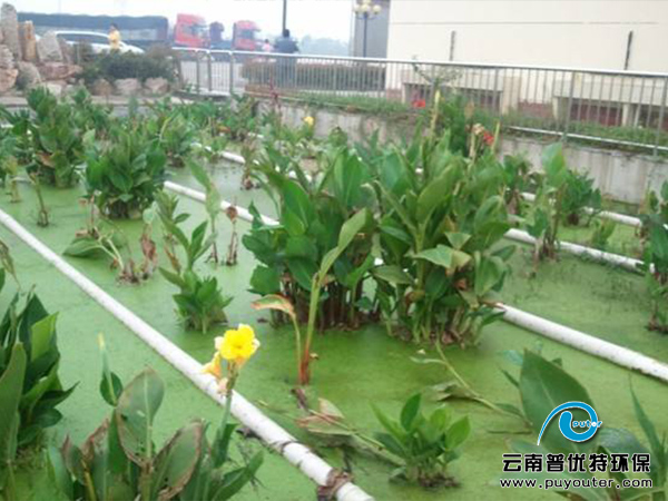 �˹�ʪ����ˮ����ϵͳ