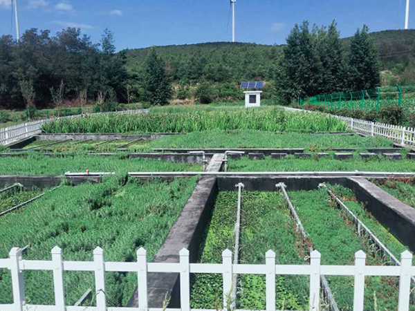 �˹�ʪ����ˮ����