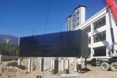 ����ĳ���׳���ˮ����